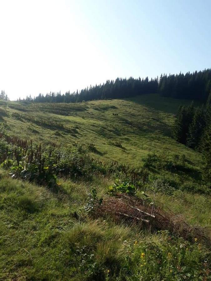 فيلا Говерлянка فوروختا المظهر الخارجي الصورة
