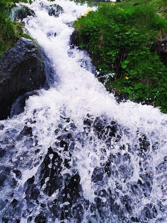 فيلا Говерлянка فوروختا المظهر الخارجي الصورة