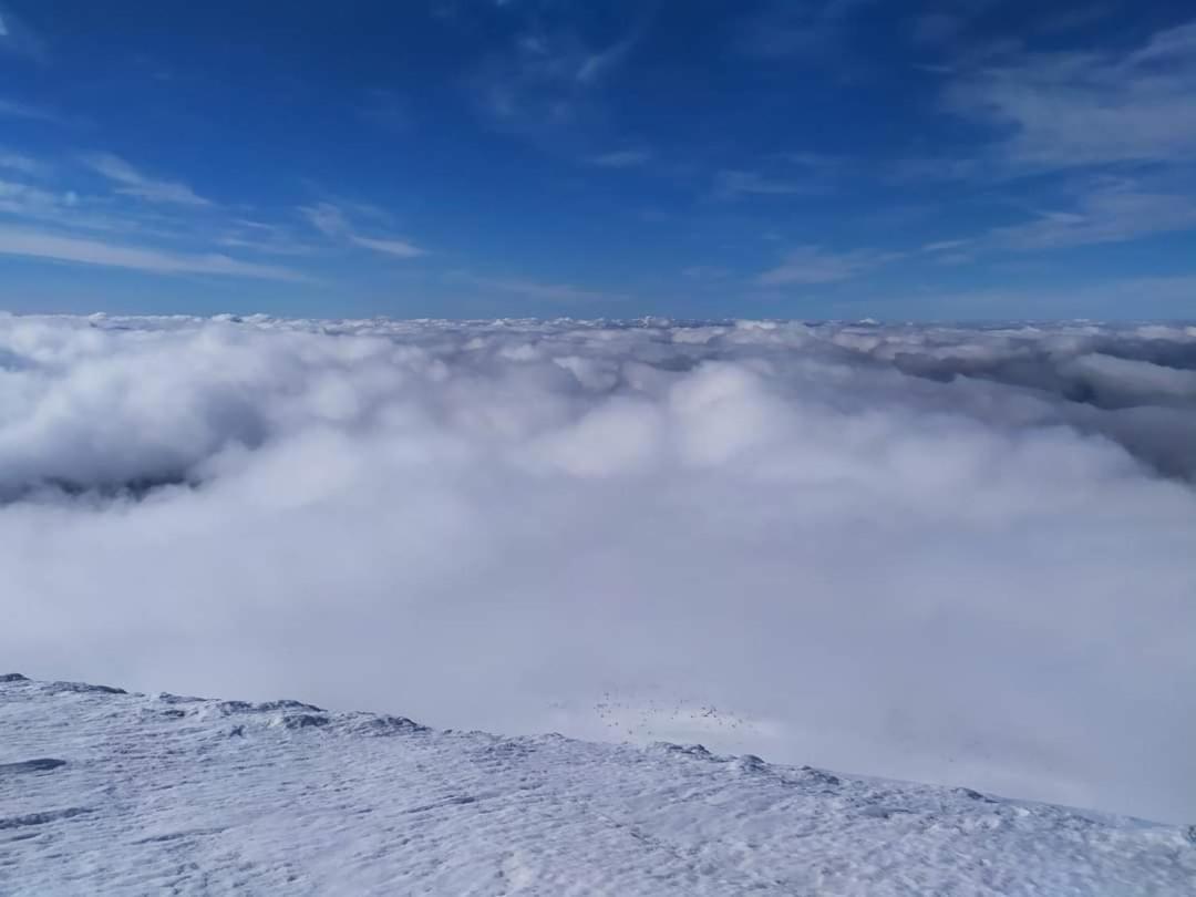 فيلا Говерлянка فوروختا المظهر الخارجي الصورة