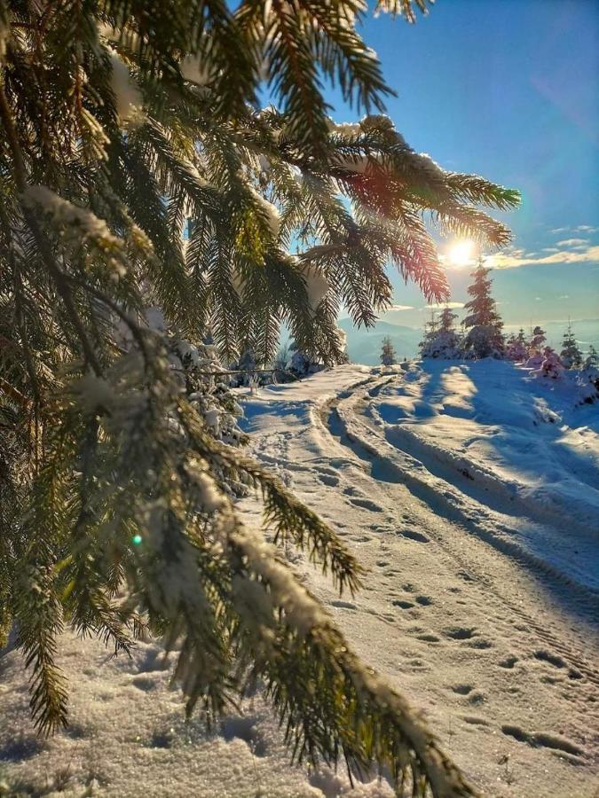 فيلا Говерлянка فوروختا المظهر الخارجي الصورة
