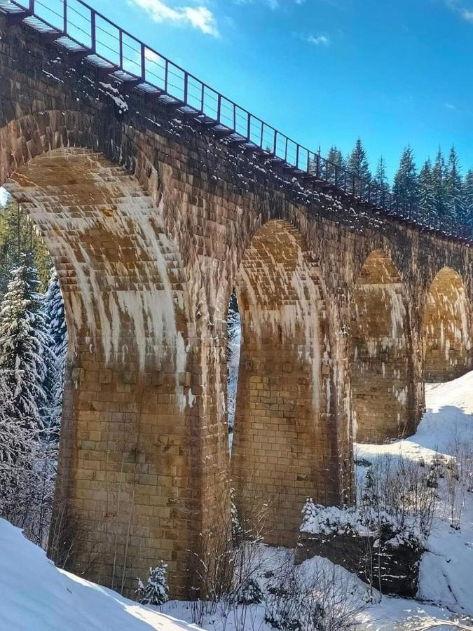 فيلا Говерлянка فوروختا المظهر الخارجي الصورة